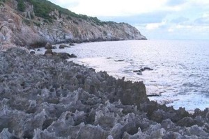 已有上百萬年歷史的萊洞古珊瑚礁。