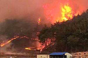 　　廣尚北道蔚珍郡北面發生森林火災。