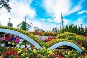 往年的大勒花卉節。