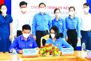 共青團市委開展饒有意義活動