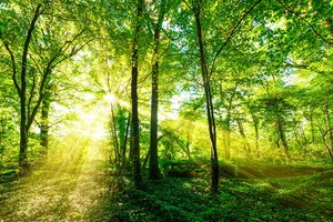 （示意圖源：互聯網）