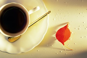 （示意圖源：互聯網）