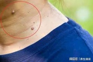 （示意圖源：互聯網）