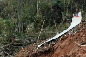 救援部隊發現客機殘骸和碎片。圖源：互聯網