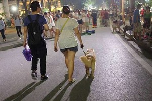 （示意圖源：互聯網）