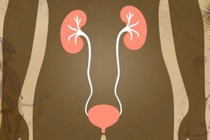 （示意圖源：互聯網）