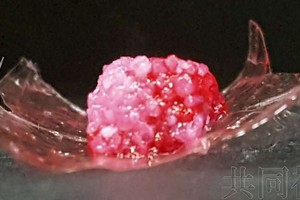 3D 打印機製出雪花牛肉