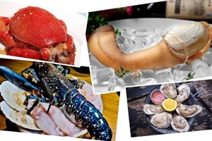 （示意圖源：互聯網）