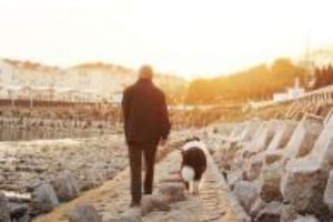 （示意圖源：互聯網）