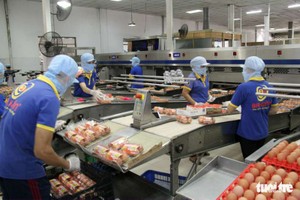 工人在包裝雞蛋。