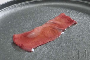 日本開發出“可食用培養肉”