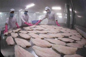 水產出口生產線。