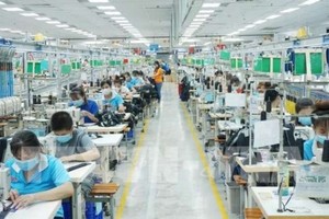 ADB預測越南經濟今年增長6.5%。