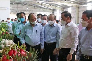 國家主席阮春福參觀某合作社。