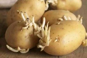 （示意圖源：互聯網）