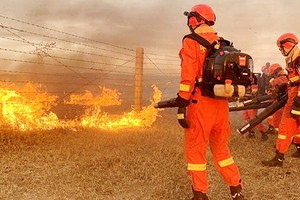 蒙古國東部兩省發生草原大火
