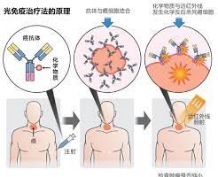 （示意圖源：互聯網）