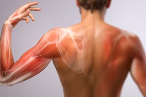 （示意圖源：互聯網）