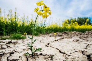 （示意圖源：互聯網）