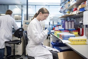 （示意圖源：互聯網）