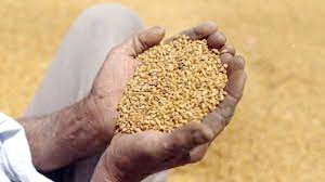 （示意圖源：互聯網）