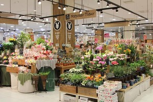 2021年，越南的花卉出口額已達6180萬美元