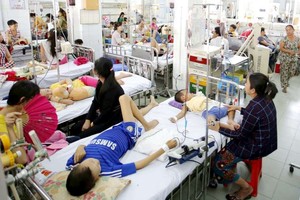 雨季是登革熱病例激增的時期。