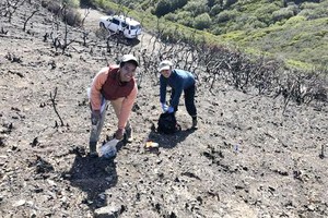 為什麼火燒不死某些細菌和微生物？