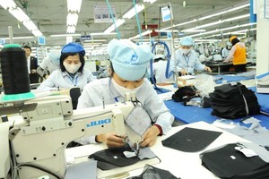 工人階級在社經發展中擔任 重要角色。