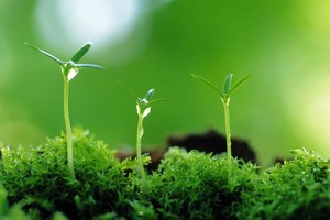 （示意圖源：互聯網）