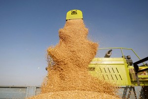 （示意圖源：互聯網）