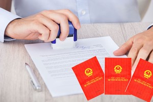 出錯的公證事務所須對買地者的損失承擔連帶賠償責任。