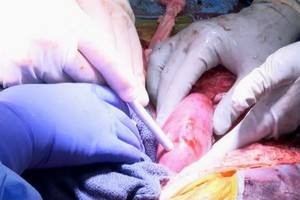 （示意圖源：互聯網）