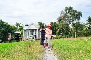 孩子們將從大自然探索小課中學到很多有趣的知識。