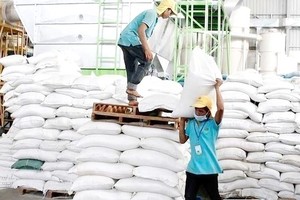 大米是柬埔寨最重要的作物。