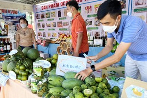 展銷會為期6天從本月24至29日。