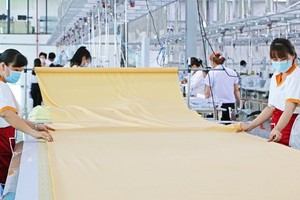 許多勞工授權給隆安省工會，要求起訴欠繳社保費的企業以討回保險金。