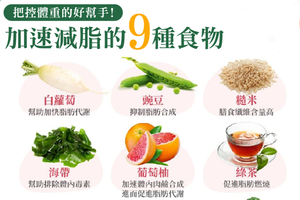 （示意圖源：互聯網）