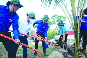 參加暑期志願青年行動的共青團員植樹綠化環境。