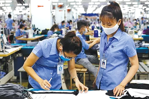 EVFTA為我國進出口活動帶來積極成果。（圖源：互聯網）