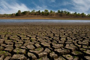 大旱致非洲之角面臨饑荒風險危機