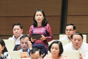 國會代表提出的問題。