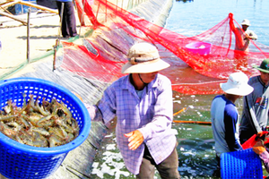 檳椥省擁有海洋與其他多領域經濟發展優勢。