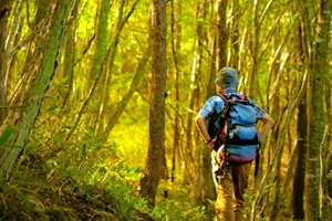 咖啡店的故事：迷路