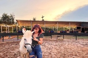 遊客與馬拍照。