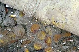 （示意圖源：互聯網）