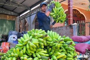 （示意圖源：互聯網）