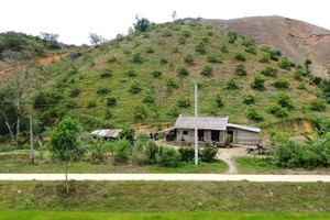 之前曾受眾多投資者爭相搶購的山地如今完全無人問津。