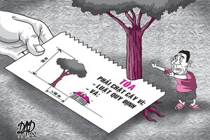 拒絕砍樹被訴諸於法