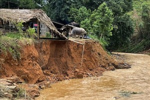 老街省多條街道與數百間住房被水淹